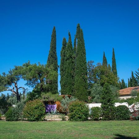 Vintage Provence Otel Arles Oda fotoğraf