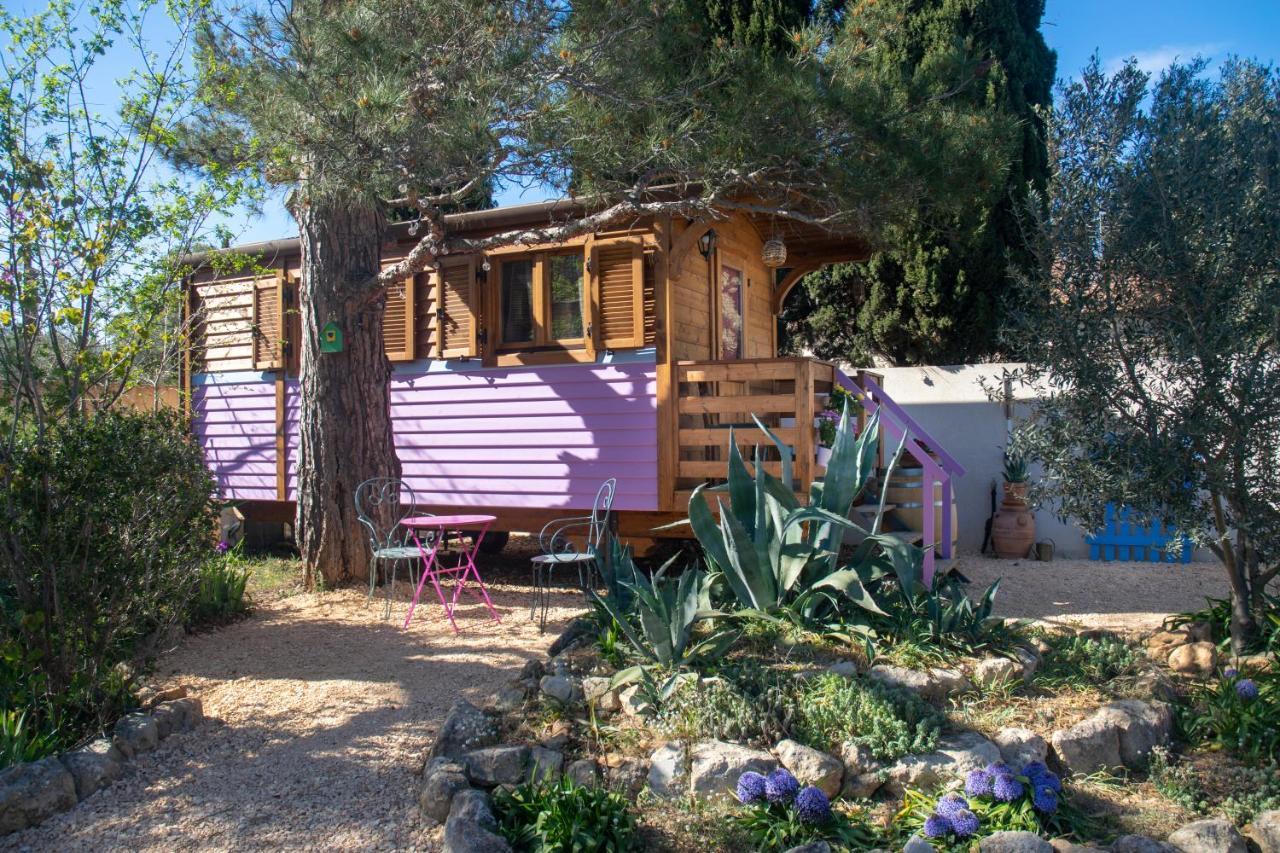 Vintage Provence Otel Arles Dış mekan fotoğraf